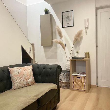 Le Duplex Cosy - Gare & Cite Gastronomique Apartment Dijon Luaran gambar