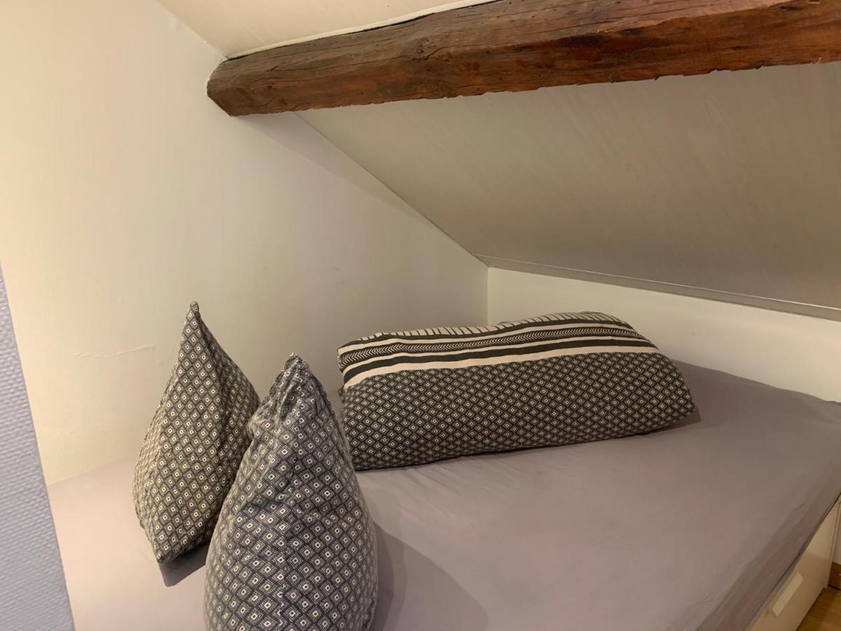 Le Duplex Cosy - Gare & Cite Gastronomique Apartment Dijon Luaran gambar
