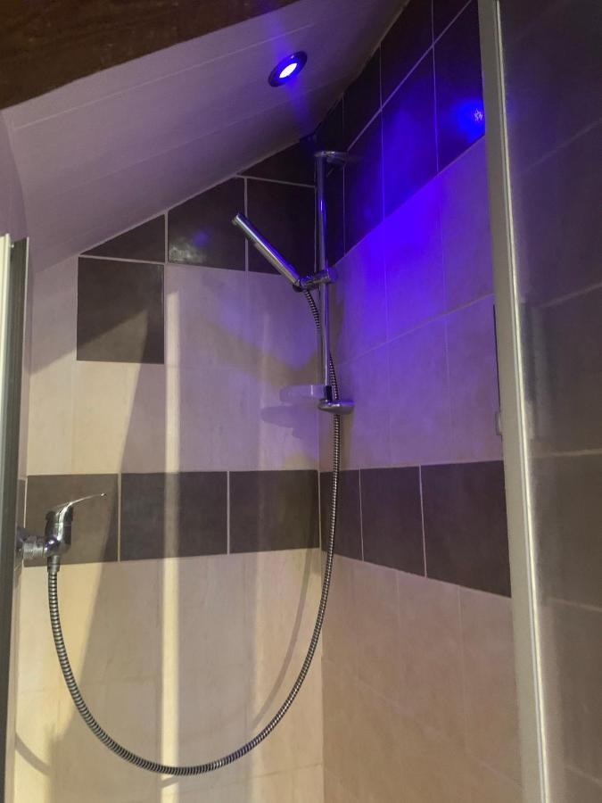Le Duplex Cosy - Gare & Cite Gastronomique Apartment Dijon Luaran gambar